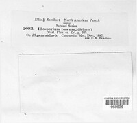 Image Associated With the Occurence